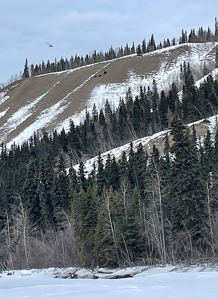 A helicopter hovers above the ridgeline with a group of bison on the flank of the bluff at center