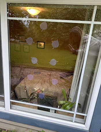 UV static cling decals may be shapes such as these leaves This brand describes them as containingem a component which brilliantly reflects ultraviolet sunlight This ultraviolet light is invisible to humans but glows like a stoplight for birds em