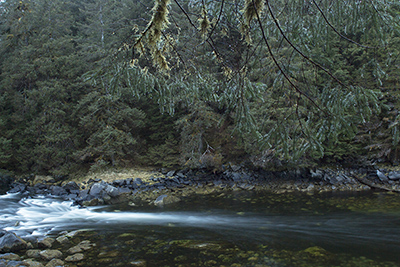 Eshamy Creek mouth amp lagoon