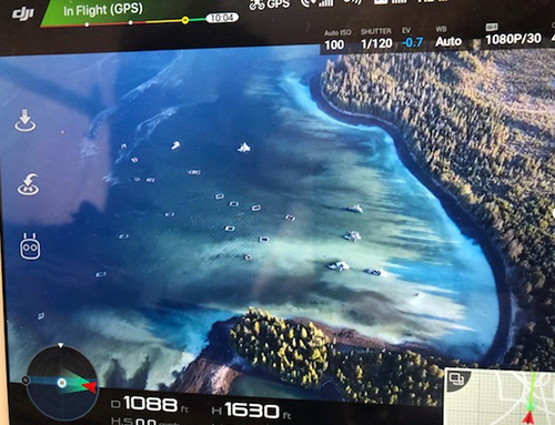 Pounds off Abbess Island well into the spawn event Some of the pounds to the right are bathed in spawn and in some places like British Columbia open pounding is practiced Herring are not caught or contained and kelp racks hang in open pounds