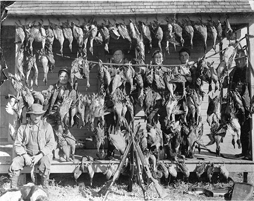 Duck kill Stultz Lake Courtesy the Missouri Department of Conservation