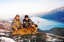 A Kodiak Island alpine buck