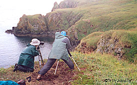 Photographers on a guided trip to Walrus Islands