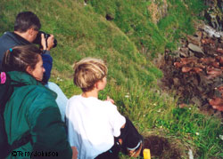 Round Island part of teh Walrus Islands State Game Sancturay offers opportunities to photograph sea birds and walrus
