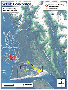 These satellite photographs show the Gustavus forelands area between Glacier Bay on the left and Excursion Inlet on the right The red dots indicate where a moose spent the summer the yellow dots show where it spent the winter Each photograph s