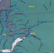 The set of interactive maps on the Fish Distribution Database website allows users to search different areas of the state for different species of fish and zoom in on different watersheds The pink lines here indicate coho salmon