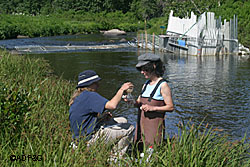 Researchers Cowee Walker and Lisa Tracy collect water samples near the fish weir on the North Fork of the Anchor River Fish weirs are one important tool managers use to assess salmon stocks