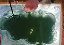 Spear fishing through the ice The decoy is used to lure the pike into spear range Photo by Fronty Parker