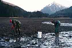 Life abounds in the intertidal area that is revealed during a minus tide Photo by Ted Mattson
