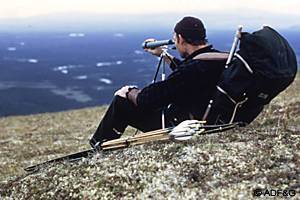 An Alaska big game hunt guided or selfguided can be a strenuous and rewarding experience