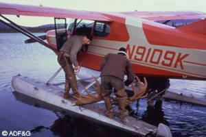 A big game guide can be a tremendous asset on an Alaska hunt Its important to ask the right questions when choosing a guide to make sure you get the experience youre after