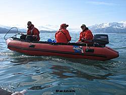 KIMU Capture Team attempting daytime capture Photo by Keri Edwards