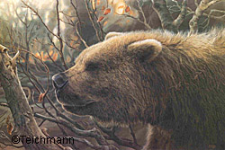 Short face bear painting by George Rinaldino Teichmann courtesy of Government of Yukon