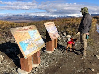 The ADFampG Hunter Access Program collaborated with the Department of Natural Resources DNR on multiple sites within Tangle Lakes Archeological District along the Denali Highway