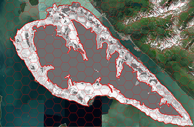 In order to select for areas where deer may select habitat in winter biologists used an existing US Forest Service map and overlayed a hexagonal grid Camera sites were selected at random on the area depicted in white and light grey which largely creates a doughnut shape around Douglas copyADFampG