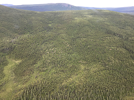 The Alphabete Hills are landscape