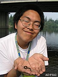 A high school student on the Chena River with a juvenile lamprey called an ammocoete The table of contents photo shows three arctic lampreys