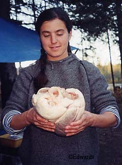 Keri Edwards with a fresh moose heart Photo by Diana Edwards
