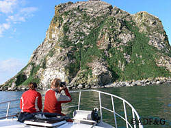 Surveying nesting populations of seabirds in the northern Bristol Bay region of Alaska Northern Bristol Bay is an important nesting area for seabirds Approximately three percent of Alaskas seabird population or 15 million birds may nest there