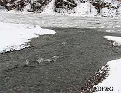 The relatively warmer Delta River water joins with the colder ice bearing waters of the Tanana River picture by Fronty Parker