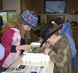 Courtney Barker and Ryan Winter trying to catch the speedy aquatic mite