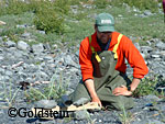 A researcher focuses a remote camera near an oystercatcher nest in Prince William Sound