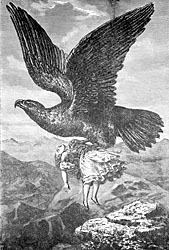 There used to be stories about eagles carrying off babies and little kids and none of that has ever been documented said Mike Jacobson an eagle expert