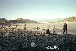 Sweepers working their nets in the Copper River