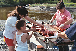 Harriet Kaufman her daughter Connie and her grandson Zackary prepare king salmon for subsistence use at Tyonek on Cook Inlet just 40 miles west of Anchorage  Photo by Davin Holen