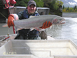 Steelhead researcher James Savereide with steelhead