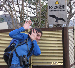 Beth Peluso in Japan dodging black kites The aggressive birds were harrassing customers at an outdoor restaurant