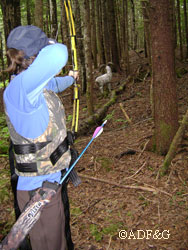 A new hunter practices archery techniques