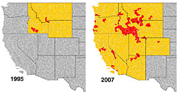 Distribution of New Zealand mud snails in the Western United States Image courtsy DL Gustafson