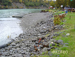 ADFampG has two programs to help protect and restore fish habitat habitat restoration workshops and a cost share program for sustaining and rehabilitating fish habitat and riparian vegetation and function
