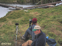 Kodiak bear viewing A collegelevel course detailing how to run a topnotch bearviewing operation is offered in Kodiak