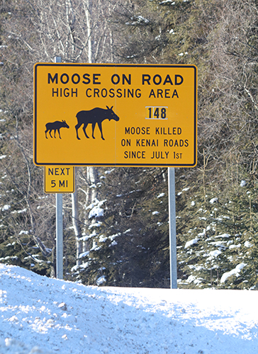 Picture taken on Feb 9 2024 by Sarah Newberry