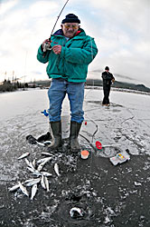 Ice fisherman Bud Benning catches king salmon smolt on Twin Lakes in Juneau Photo by Klas Stolpe courtesy of the Juneau Empire