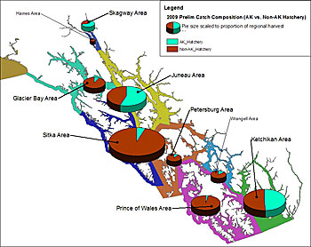 Preliminary Alaska hatchery composition vs nonAlaska hatchery composition of the 2009 king salmon harvest in Southeast Alaska Figure by Brian FrenetteADFG