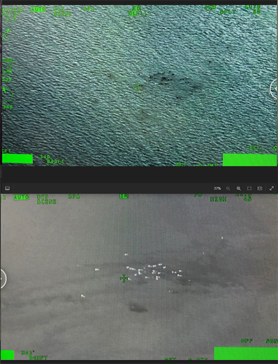 A pair of aerial photographs of a group of marine mammals the bottom image is infrared and the temperature difference between the animals and the water makes them much more detectable