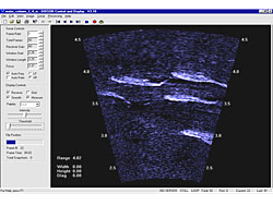 Screen shot of the DIDSON software displaying an image of five fish passing the sonar