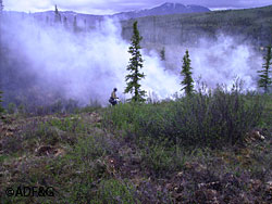 A test burn on 12 June 2008 at a site near the proposed prescribed burn at a lower elevation of 2600 feet The Alaska Range is in background to the south