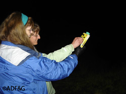 Biologist Karen Blejwas and citizen scientist participant Patti Harper conduct a bat survey at the Fish Creek estuary Blejwas with ADFampGs Wildlife Diversity Program is organizing volunteers to search for bats in the Juneau area Riley WoodfordAD