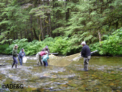 Biologists and BioBlitz participants seine for fish at Fish Creek Riley WoodfordADFampG