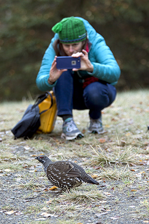 Elizabeth Manning photographs a cooperative grouse in Kincaid Park in Anchorage Photo by Ken Marsh