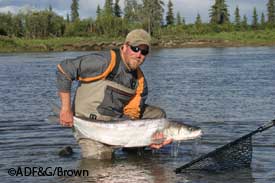 James Savereide holding a large male sheefish measuring 38 inches in length  Photo credit Randy Brown
