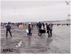 Participants in the Upper Cook Inlet personal use fisheries