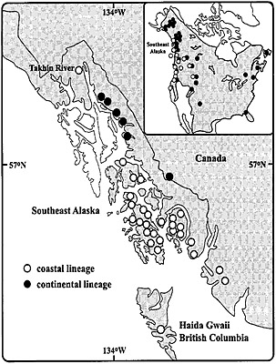 A map showing the distribution of continental lineage and coastal lineage bears The continental bears along the central mainland area likely accessed Southeast via the Taku and Stikine river corridors Coastal bear may have also taken those routes into British Columbia eventually colonizing the Pacific Northwest