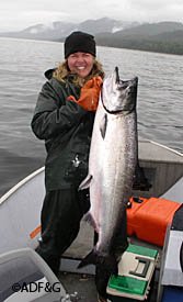 A 35pound king salmon caught near Ketchikan the anglers first king