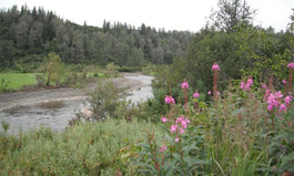 The realigned Anchor River