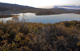 Grayling can be caught throughout Alaskas icefree season from roughly May through September in most regions